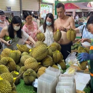 top-sau-rieng-ngon-nhat-the-gioi-duoc-yeu-thich-tai-viet-nam