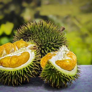 sau-rieng-mien-tay-ri6